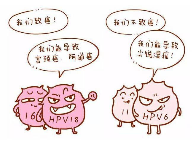 hpv凝胶厂家