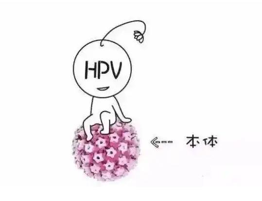 HPV凝胶定制工厂